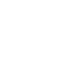 logo2