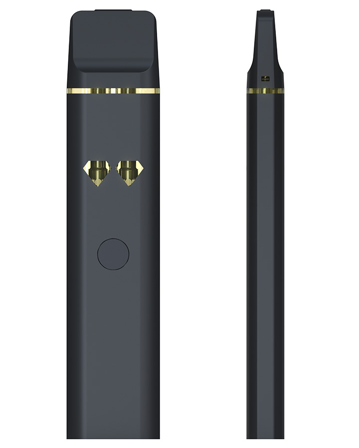 Best Disposable Vape 2025