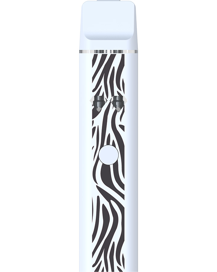 Best Disposable Vape 2025