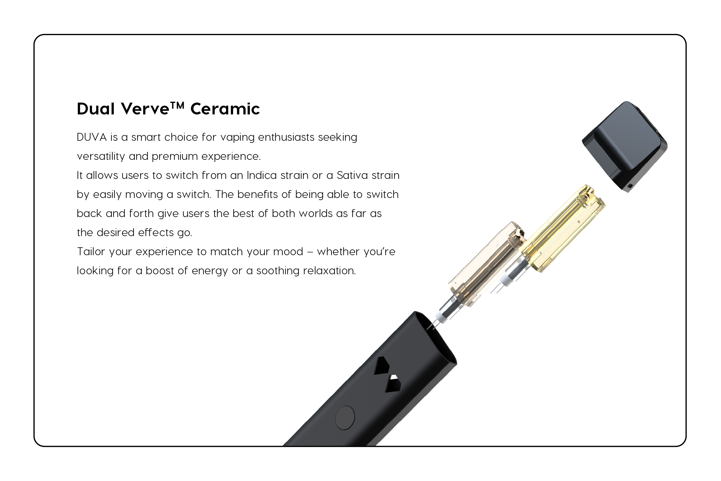 Best Disposable Vape 2025