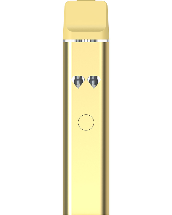 Best Disposable Vape 2025