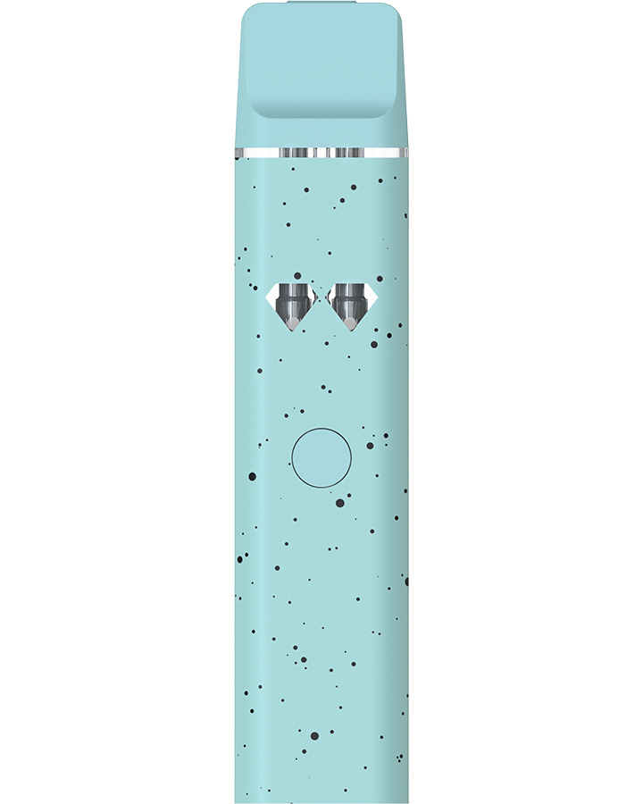 Best Disposable Vape 2025