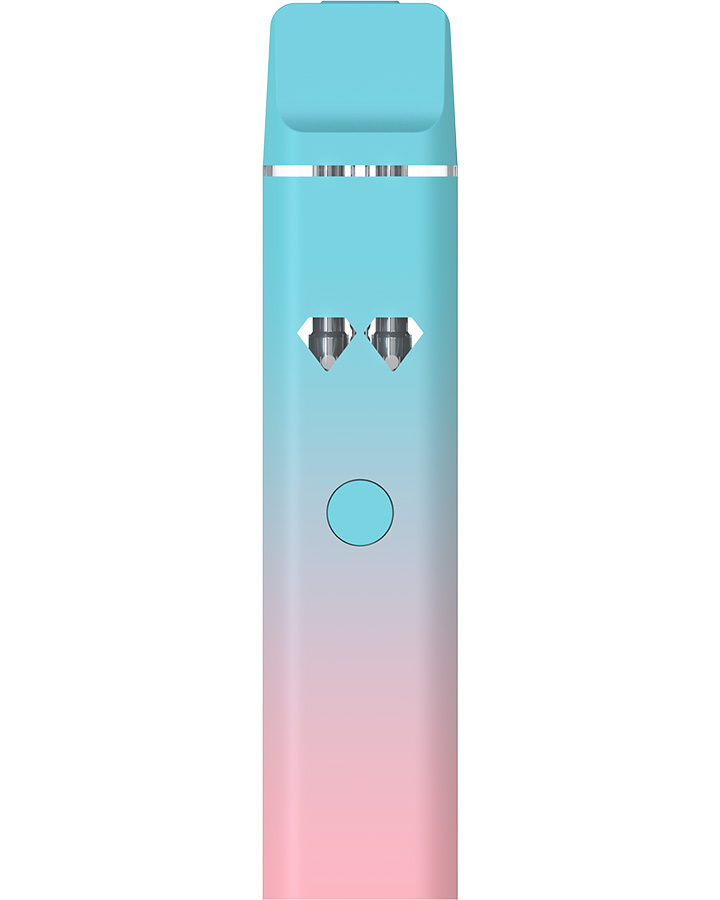 Best Disposable Vape 2025