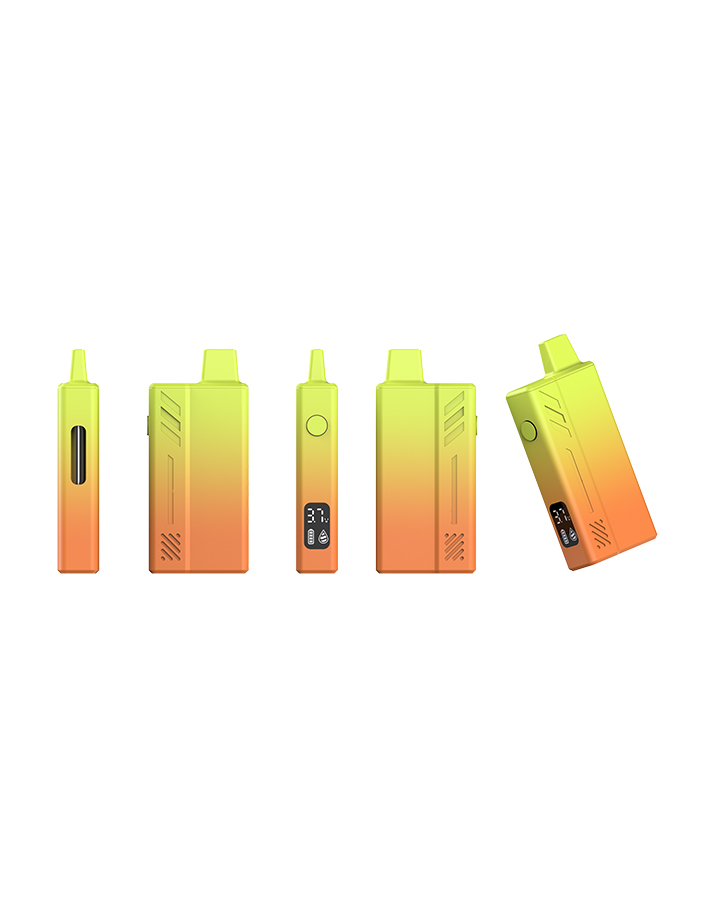 OASIS Best Cheap Vape Disposable (12)