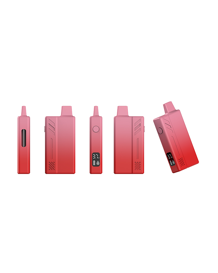 OASIS Best Cheap Vape Disposable (13)