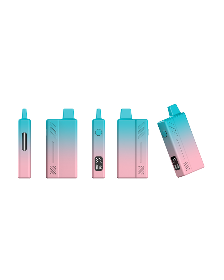 OASIS Best Cheap Vape Disposable (16)