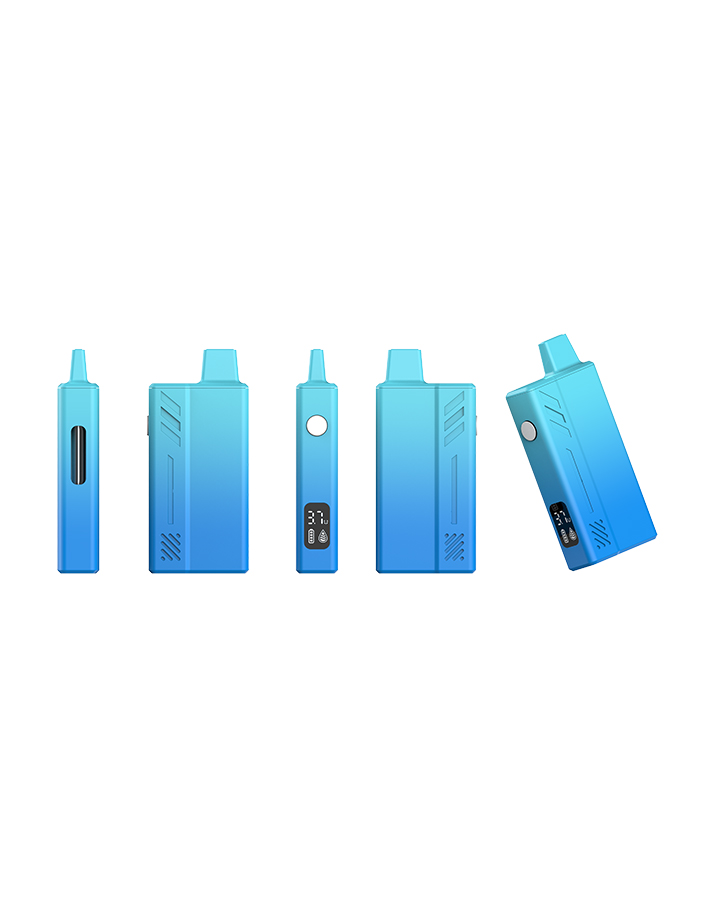 OASIS Best Cheap Vape Disposable (5)