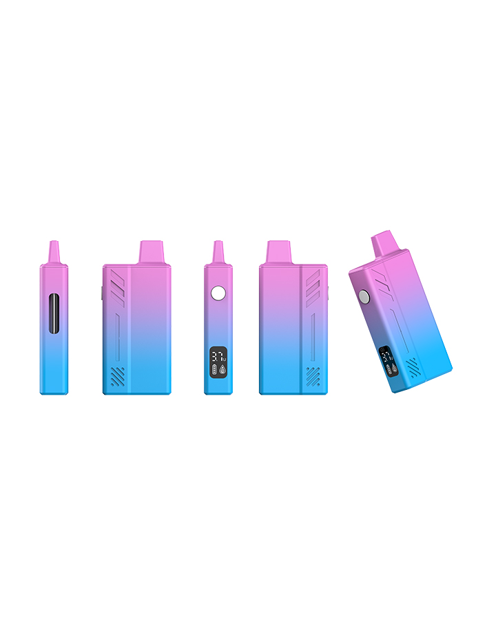 OASIS Best Cheap Vape Disposable (6)