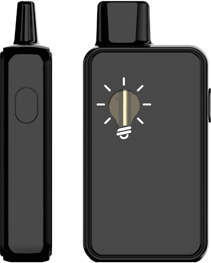 Ceramic Coil Disposable Vape