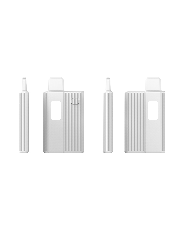GEM Best Flavored Disposable Vape (19)
