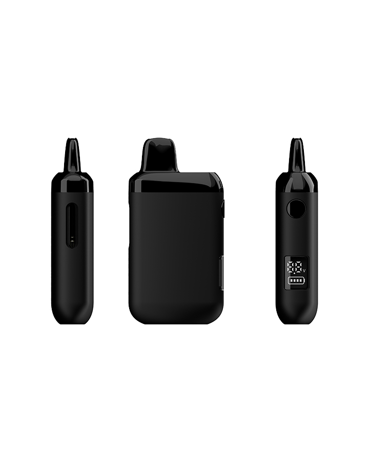 VIV-A The Best Disposable Vapes (12)