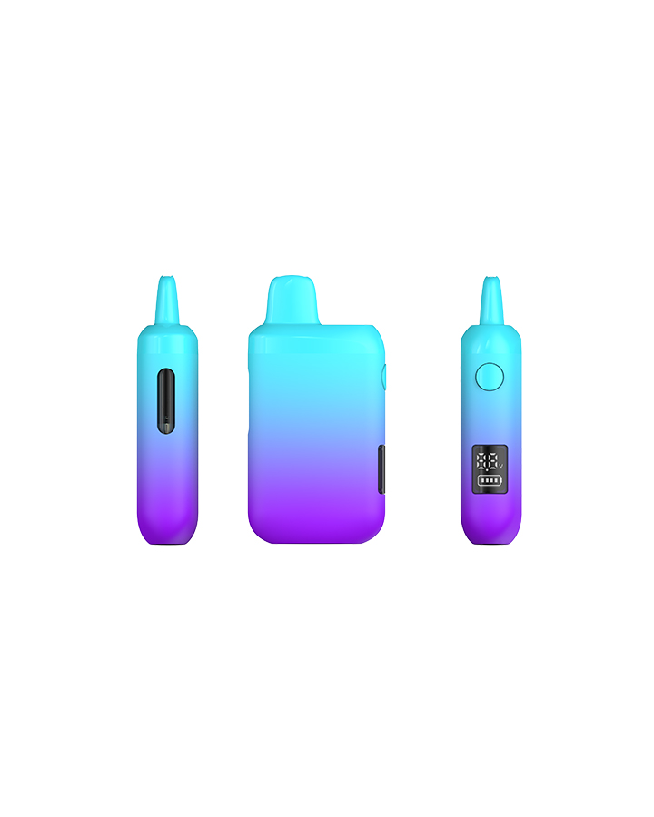 VIV-A The Best Disposable Vapes (7)