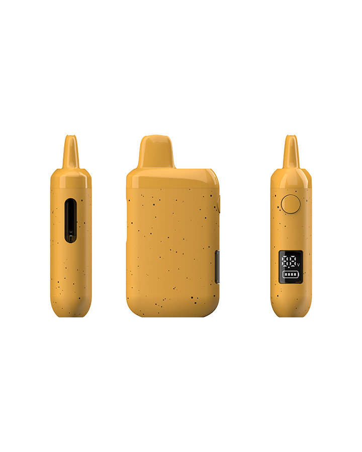 VIV-A The Best Disposable Vapes (9)
