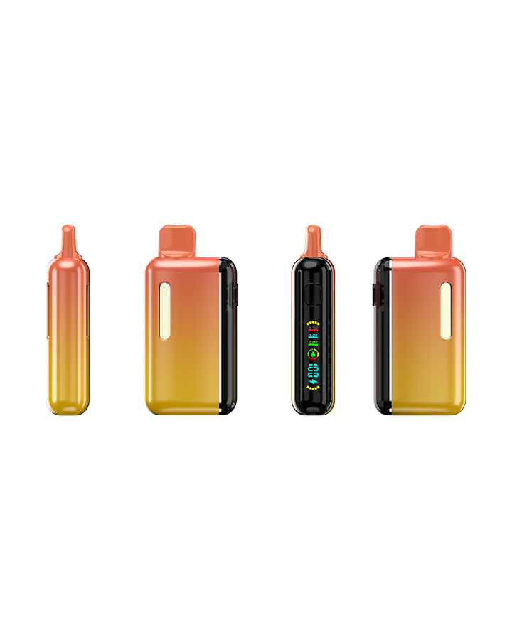 VIV-O Ceramic Coil Safest Disposable Vape (19)
