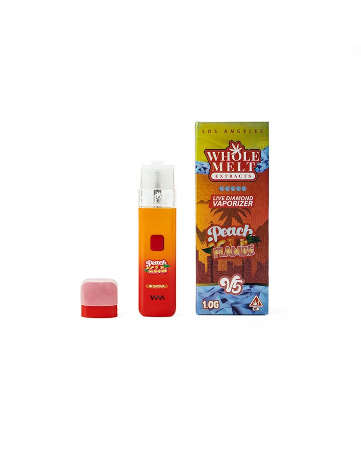 Whole Melt 2g V5 Cheapest Disposable Vapes (3)