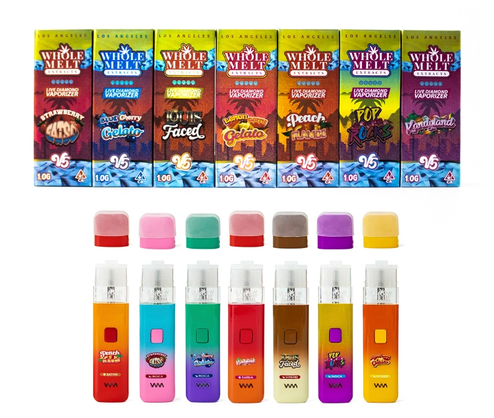 Whole Melt 2g V5 Cheapest Disposable Vapes