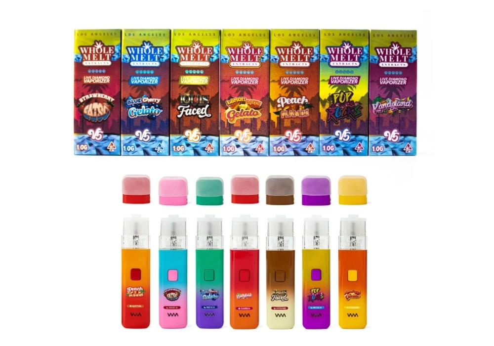 Whole Melt 2g V5 Cheapest Disposable Vapes