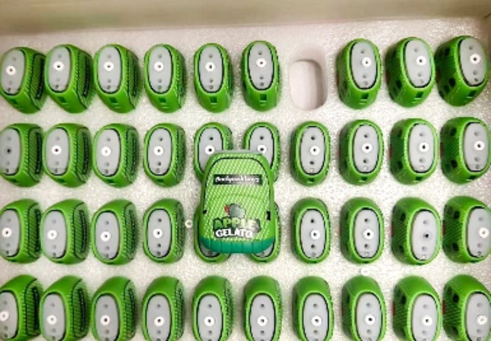 Backpackboyz 2ml Top Rated Disposable Vape