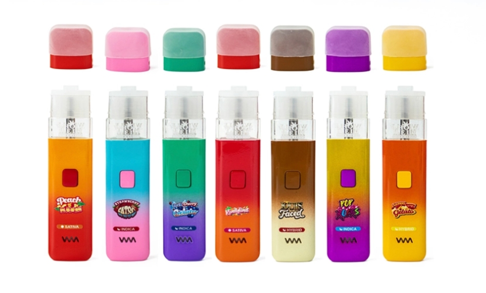 Whole Melt 2g V5 Cheapest Disposable Vapes